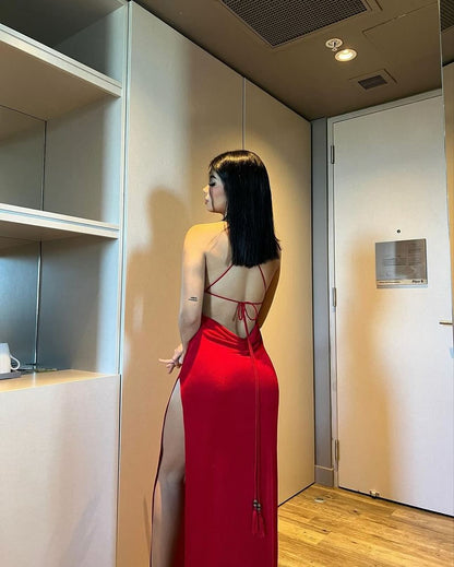 Sexy Backless Long Dress