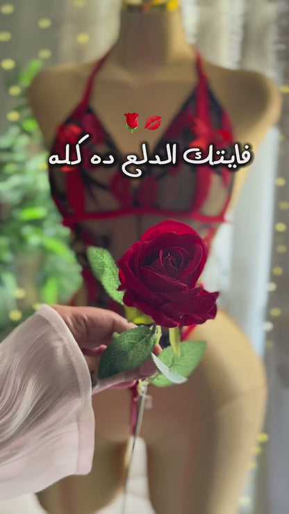 Bride Box بوكس العروسة